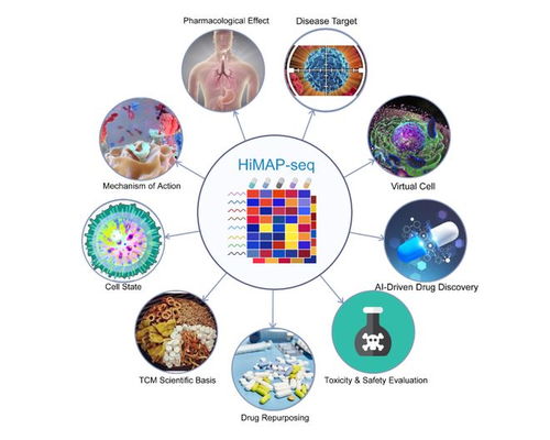 王棟、鄧赟與許俊泉團隊開發(fā)HiMAP-seq新技術(shù)并構(gòu)建三億量級藥物基因表達數(shù)據(jù)庫CIGS，引領生物技術(shù)新前沿